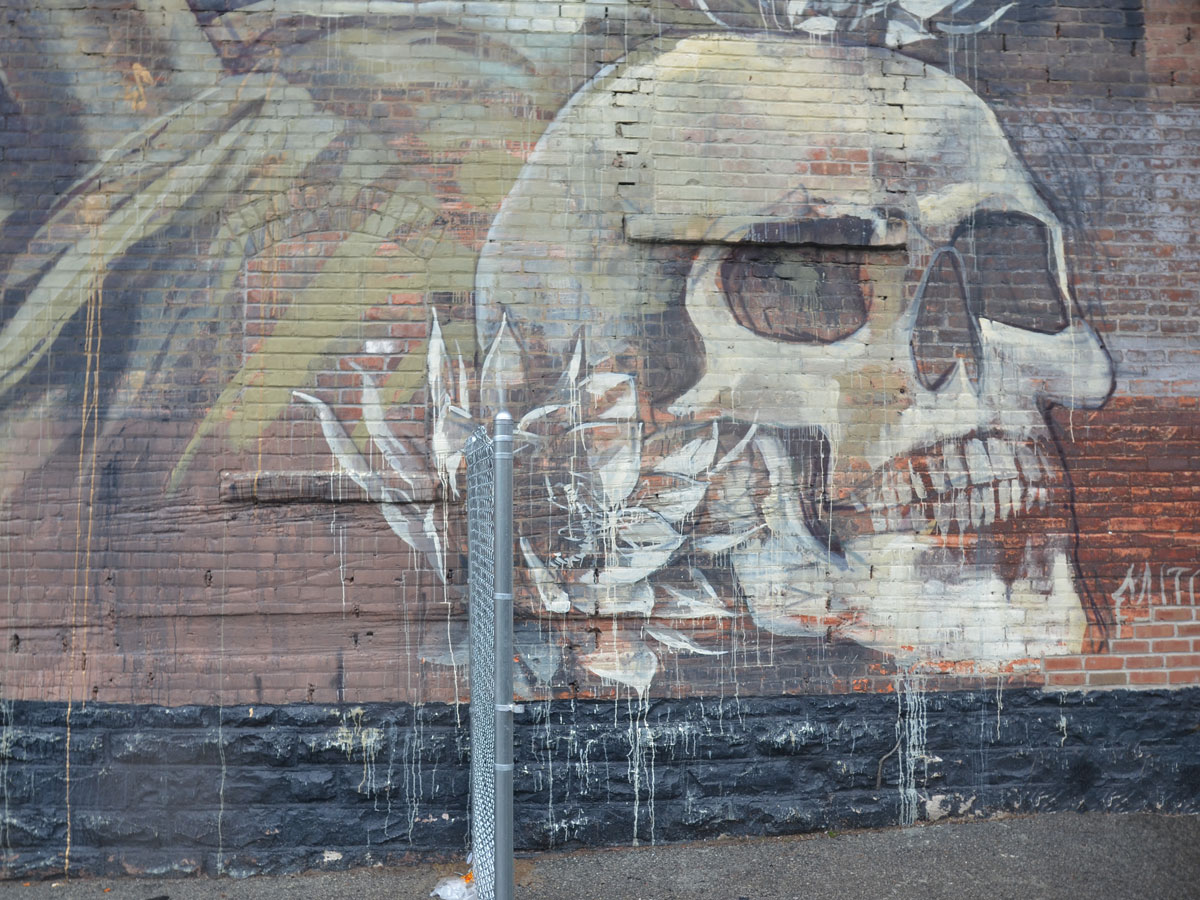 detail of a larger mural - a large skull with a flower