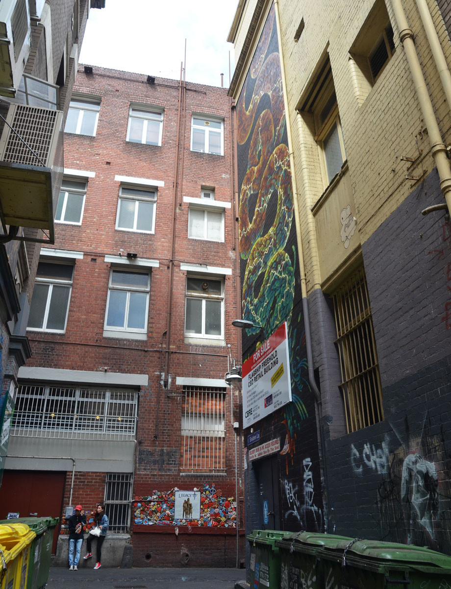 large vertical mural up high on a multi storey building in an alley, a snake winds its way up the building
