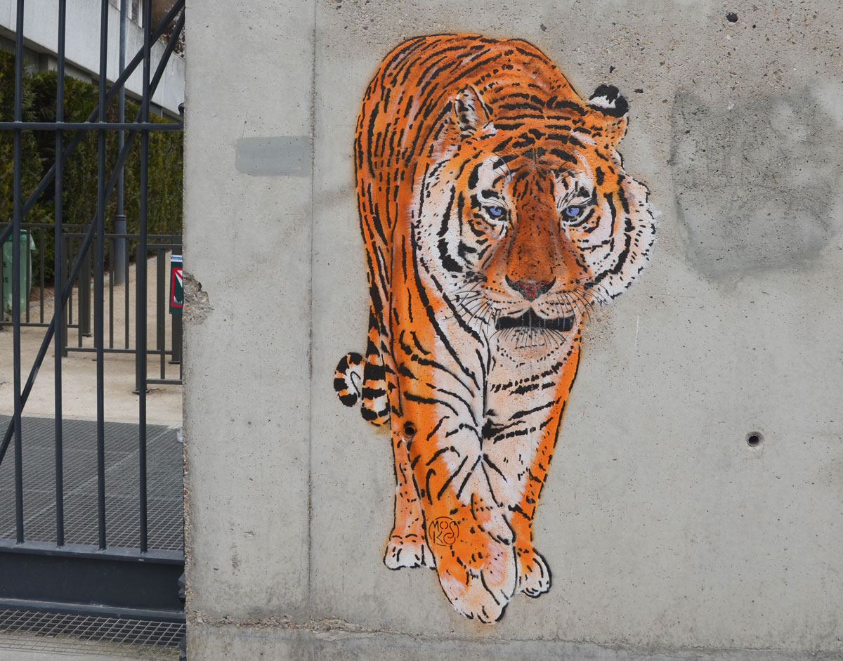 pasteup graffiti of a very realistic tiger drawn in oranges and black, almost life size, walking directly at the viewer 