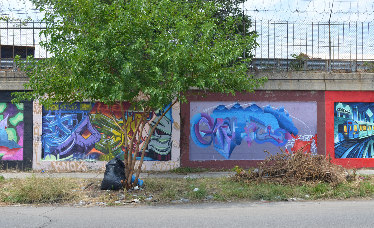 a small tree in front of two murals on a wall 