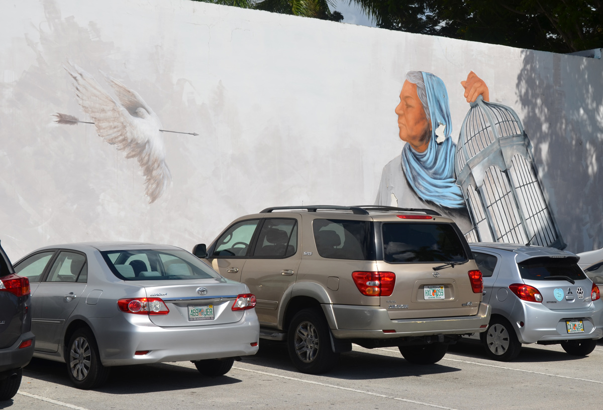 a woman holds open a bird cage for a wounded dove, mural, by evoca1
