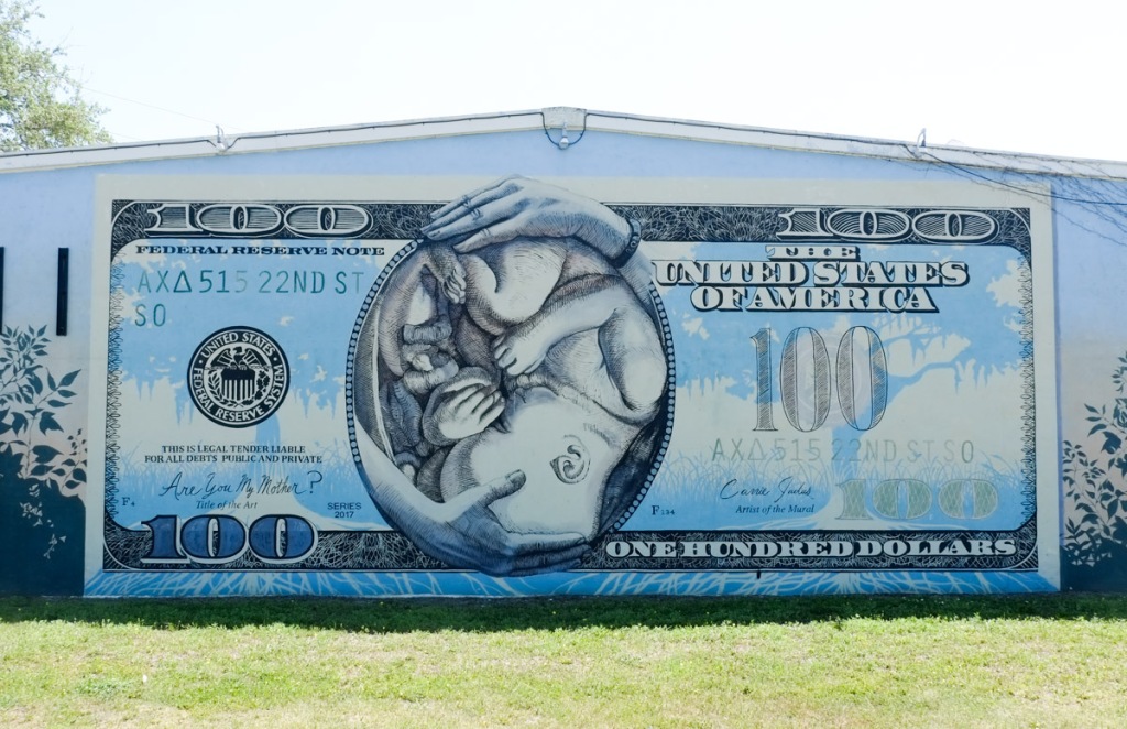 a realistic looking one hundred dollar bill in American currency but with central picture being a fetus in the womb, all curled up, fetal position.  Painted by Carrie Jadus and titled Are you my mother?